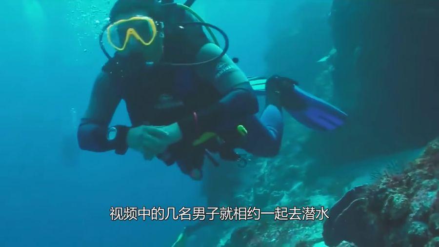 肝胆“小”问题,失眠“大”麻烦